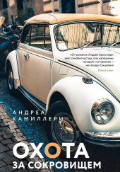 Охота за сокровищем