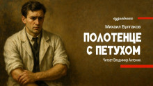 Полотенце с петухом
