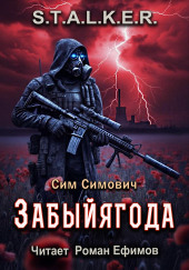 S.T.A.L.K.E.R. Забыйягода