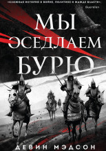 Мы оседлаем бурю