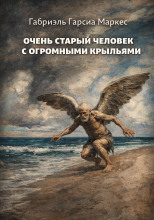 Очень старый человек с огромными крыльями
