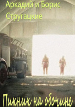 Пикник на обочине