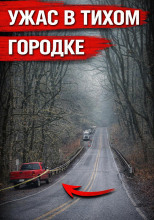 Упала с моста