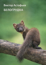 Белогрудка