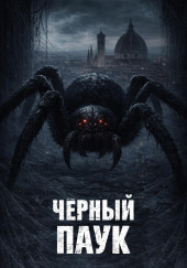 Чёрный паук