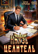 Князь Целитель 8
