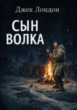 Сын Волка