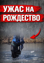 Исчезла в Рождество