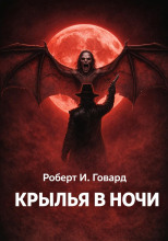 Крылья в ночи