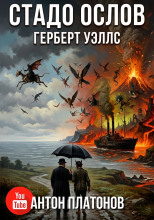 Стадо ослов