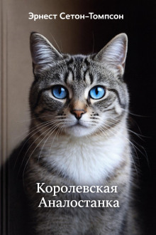 Королевская Аналостанка