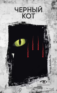 Чёрный кот