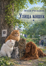 Улица кошек