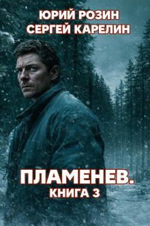 Пламенев. Книга 3