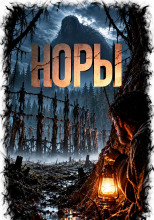 Норы