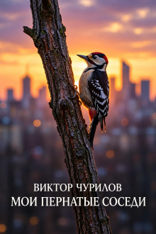 Мои пернатые соседи